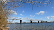 Branches of a tree in front of a long bridge of steel