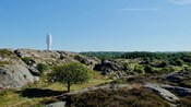 Uma escultura da cabeça de uma mulher em meio a uma paisagem acidentada com colinas e árvores