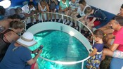 Los visitantes observan la vida marina a través de una gran ventana de cristal en el piso de un barco