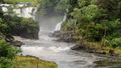 Rushing water from a nearby waterfall flows through an area of lush vegetation with a rocky shore
