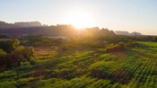 The sun rising over a rocky mountain range surrounded by verdant fields