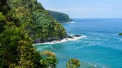 Um litoral montanhoso verdejante