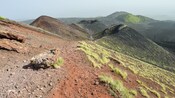 A rocky volcanic landscape