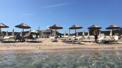 Las olas del mar que se estrellan contra la costa cerca de una serie de sombrillas de playa y camastros