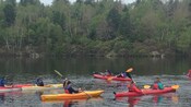 Praticantes de caiaque individuais e em dupla remam em um lago cercado por uma densa floresta