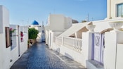 A narrow cobblestone walkway lined with Greek homes and bougainvillea