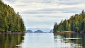 Calm waters surrounded by forest and mountains