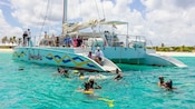 Guests swimming and snorkeling around an anchored catamaran