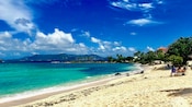 A sandy beach surrounded by tropical foliage