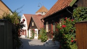 A cobblestone walkway lined with tile roof cottages and rose bushes