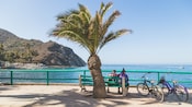 Kick back, relax and soak in the picturesque ocean vistas surrounding this island paradise.