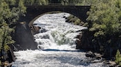 A bridge over a cascading waterfall