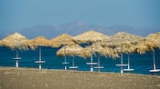 Un conjunto de sombrillas de paja en una playa