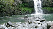 A waterfall flows from a lush hillside into a rocky stream