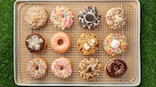 One dozen delectable donuts on a tray