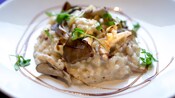 A plate of risotto featuring mushrooms and shrimp