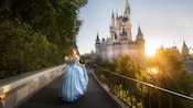 Cinderella walking toward her castle in Magic Kingdom park
