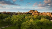 The treetops and thatched roofs of Disney's Animal Kingdom Lodge at daybreak The treetops and thatched roofs of Disney's Animal Kingdom Lodge at daybreak
