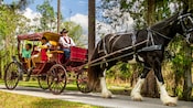 A family rides in a horse drawn carriage on a path lined with many trees
