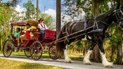 A family rides in a horse drawn carriage on a path lined with many trees