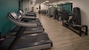 A fitness center featuring treadmills, elliptical machines and weight lifting equipment