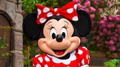 Minnie Mouse poses in front of flowers
