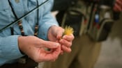 Close up of a woman's hands as she ties a fishing fly