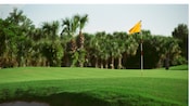 A flagstick on a lush, green golf course rimmed by palm trees