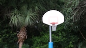 A basketball hoop with trees in the background