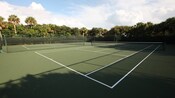 Two hard-court tennis courts bordered by trees