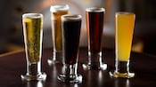 5 glasses containing various types of beer