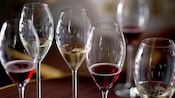 6 glasses containing various types of Champagne