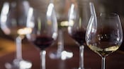 5 glasses of wine