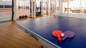 Two pingpong paddles and a pingpong ball sit on the corner of a pingpong table in a netted outdoor recreation area