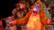 O Rei Louie, de Mogli, o menino lobo, canta enquanto outros macacos dançam
