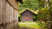 Shack with interlocking wood slats and a roof covered with vegetation sits against a forest backdrop