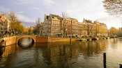A canal in Amsterdam by a street featuring buildings, trees, cars and bicycles