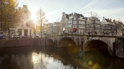 A canal in Amsterdam by a street featuring buildings, trees and bicycles