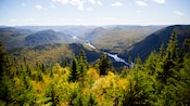 A river cuts through a hill strewn valley covered in trees
