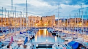 Rows of ships sit in a marina with a palm tree lined street and apartment buildings run perpendicular.
