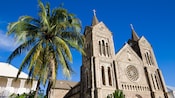 A palm tree next to a large church with 2 cross steeples