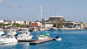 A harbor crowded with boats and people tucked up against stonework walls and buildings