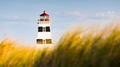 A lighthouse surrounded by greenery