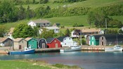 Boats docked along the water by buildings and greenery