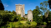 Blarney Castle on the edge of a grassy riverbank