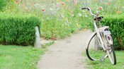 A bicycle near flowers, bushes and a path