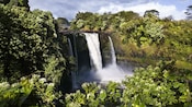 A waterfall in a lush setting