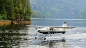 O avião pontão flutua ao longo da superfície de um lago com uma densa floresta da montanha ao fundo