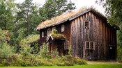 Wood paneled builiding with grass growing on the roof surrounded by brush and woods