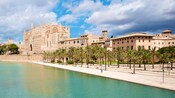 Exterior view of the La Seu Cathedral, palm trees and a body of water